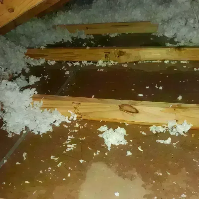 Attic Water Damage in Effingham, IL