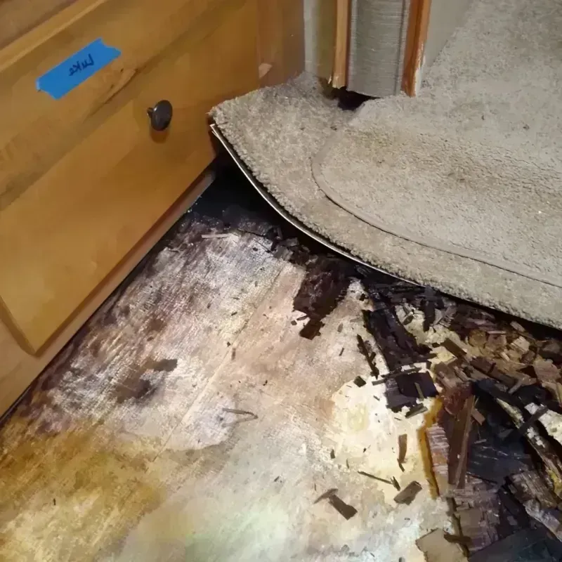 Wood Floor Water Damage in Effingham, IL